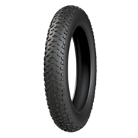 DIS 20 X 4.00 TT ANLAS FABRİKA SEVK- NAKİT VE TEK ÇEKİM +%5 İSK YAPILACAK