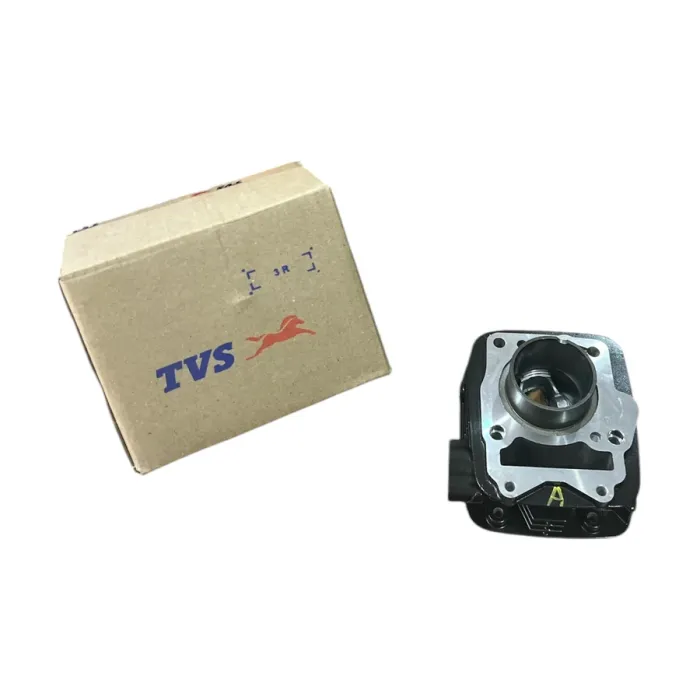 RAİDER125 SİLİNDİR SET ORJ